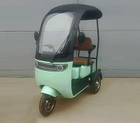 থ্রি হুইল বৈদ্যুতিক স্কুটার ট্রাইসাইকেল